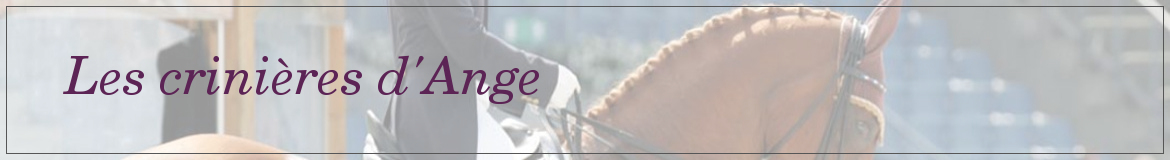 Les crinières d'Ange